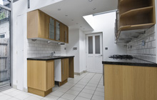 Dolphinston kitchen extension leads